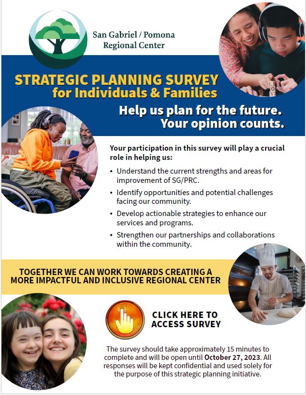 strategic survey families image