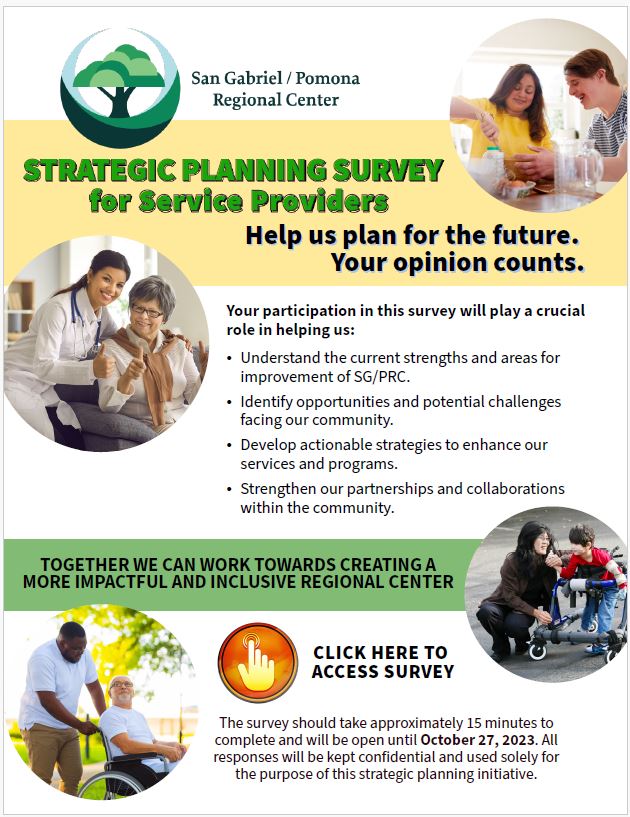 strategic survey providers image